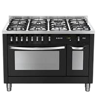 Замена конфорки керамической плиты LOFRA PNMD126GV+E/2Ci